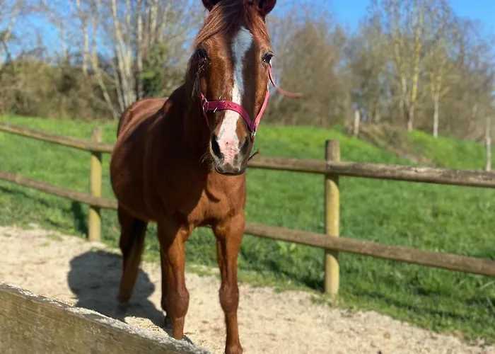 Dans Moulin - Chic Et Charme - Piscine Et * Rouesse-Vasse
